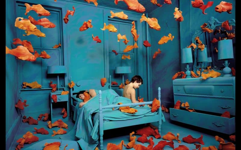 L’arte di Sandy Skoglund tra natura e artificio